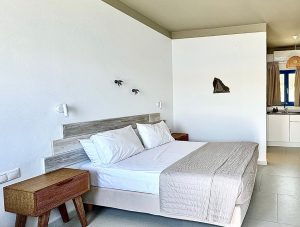 Hotel Amorgos
